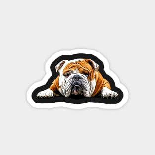 Bulldog Chill Pose - English Bulldog Magnet