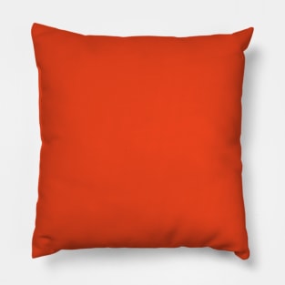 Citrus Orange Florida Colors of the Sunshine State Pillow