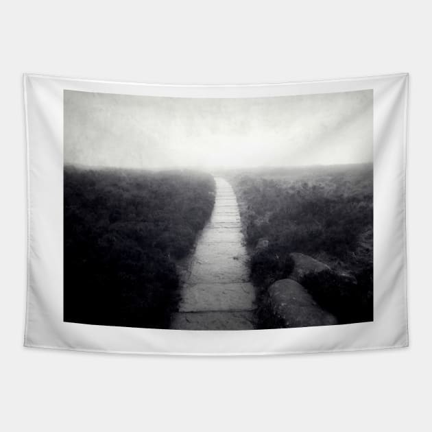 Mountain Path in the Mist Tapestry by rosedew