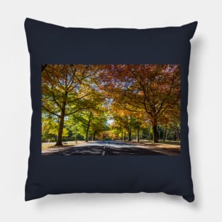 Honour Avenue, Mount Macedon, Victoria, Australia. Pillow