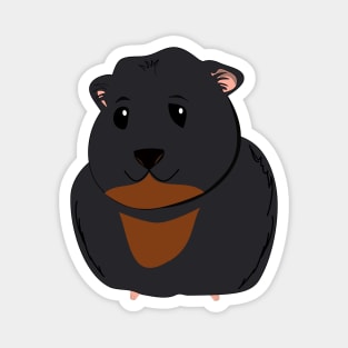 Cute black guinea pig Magnet