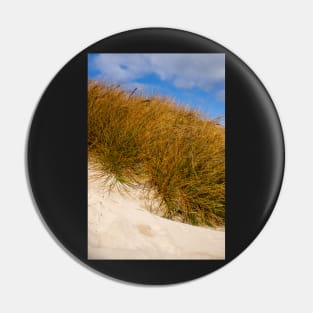 Beach grass. Pin