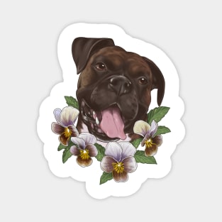 Duke with Frosted Chocolate Pansies Magnet