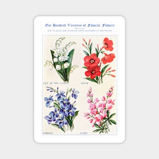 Flower watercolor illustration (1915) Magnet