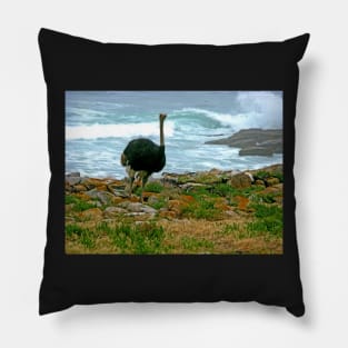 Ostrich, Cape Point Nature Reserve, South Africa Pillow