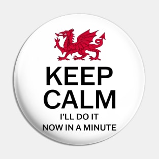 Keep Calm I'll Do It Now In A Minute Pin