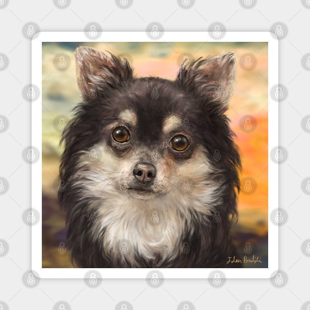 Cute Furry Brown and White Chihuahua on Orange Background Magnet by ibadishi