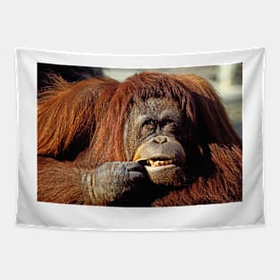 Orangutan Tapestry