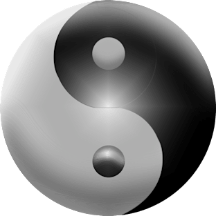 Yin Yang Magnet