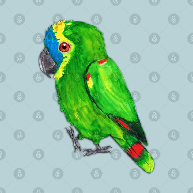 Turquoise-fronted amazon watercolor painting by Bwiselizzy