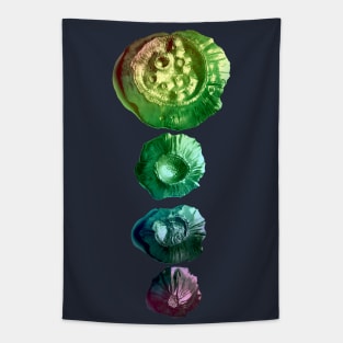 Rainbow Moon Tapestry