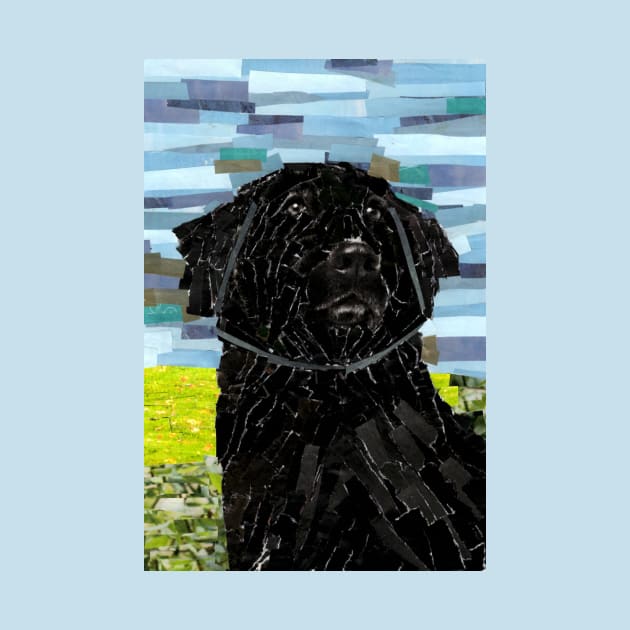 Newfoundland Dog Collage by cajunhusker