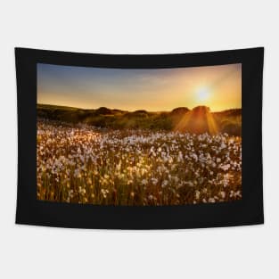 Cotton Grass on Cefn Bryn, Gower Tapestry