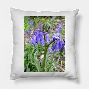 Bluebell Pillow