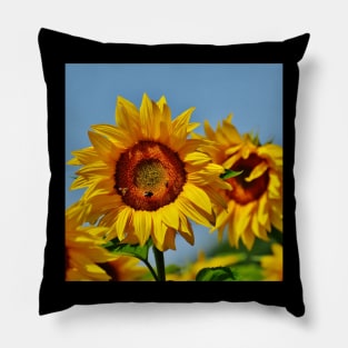 Sunflower with bees. Pillow