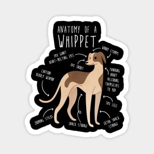 Whippet Dog Anatomy Magnet