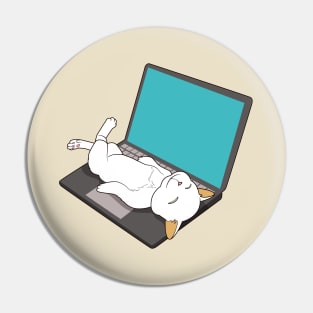 cat sleeping on laptop Pin