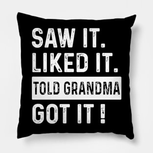 Saw it Liked it Told Grandma Got it ! Pillow