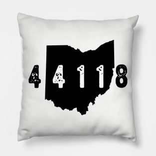 Ohio 44118 Shaker Heights Pillow