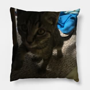 Little Kitty Gonna Get You Pillow