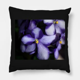 Violet & White Bi-colour African Violets Pillow