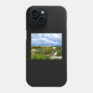 The dunes at Sandy Neck Beach Phone Case