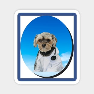 Funy doctor dog Magnet