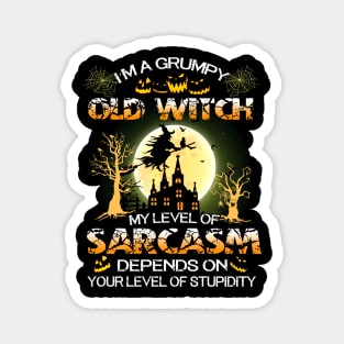 I'm a Grumpy Old WitchT Shirt Funny Halloween Gifts Shirt Magnet