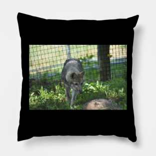 Wolf Puppy Pillow