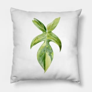 Philodendron 'Florida Beauty' | Rare Tropical Plant Pillow