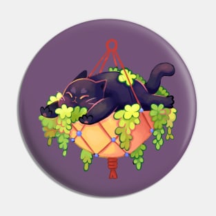 cat and plants Pin