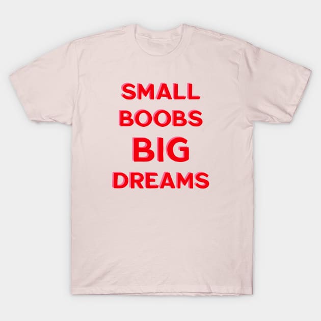 Small Boobs Big Dreams Tee - White