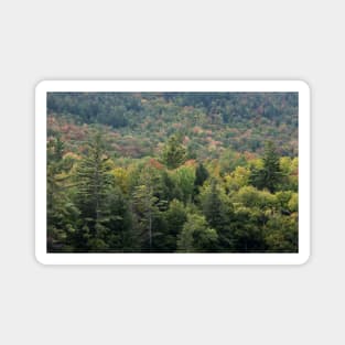 Autumn in the Adirondack Mountains!! Magnet