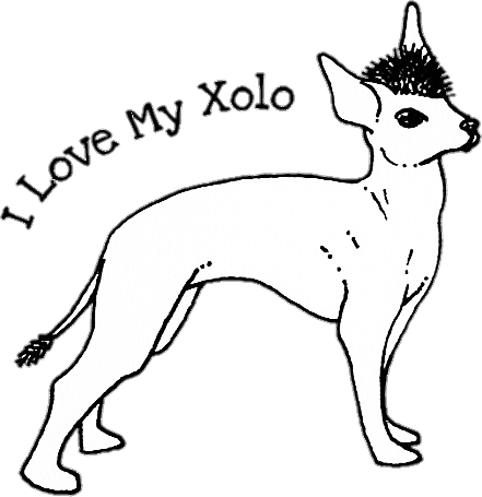 I Love My Xolo Kids T-Shirt by Lisamariesumner