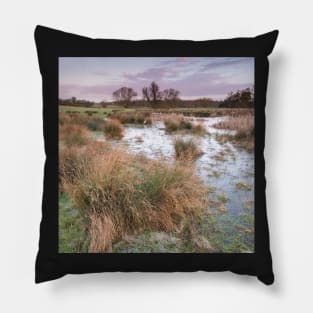 Meadow Sunrise Pillow