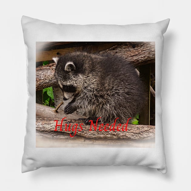 Raccoon Hugs Pillow by rconyard