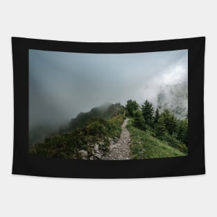 Way through the Fog – Landscape Photography Tapestry