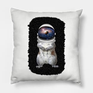 Space Nuts Pillow