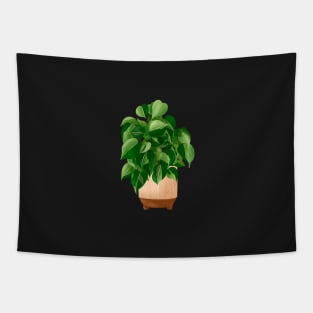 Philodendron hederaceum - Heartleaf Philodendron, Potted Plant Illustration Tapestry