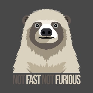 Not Fast Not Furious T-Shirt