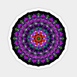 Mandala Magic - Daily Focus 2.19.2023 A2E Magnet