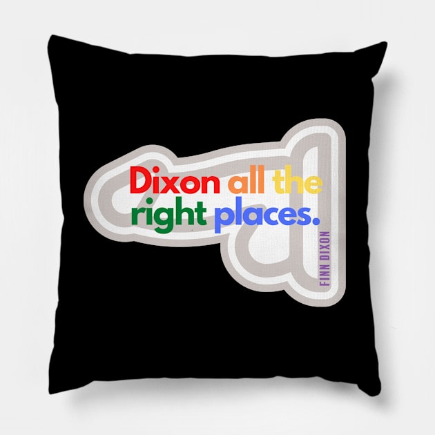 Dixon all the right places (Rainbow) Pillow by Finn Dixon