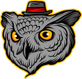 Owl hat Magnet