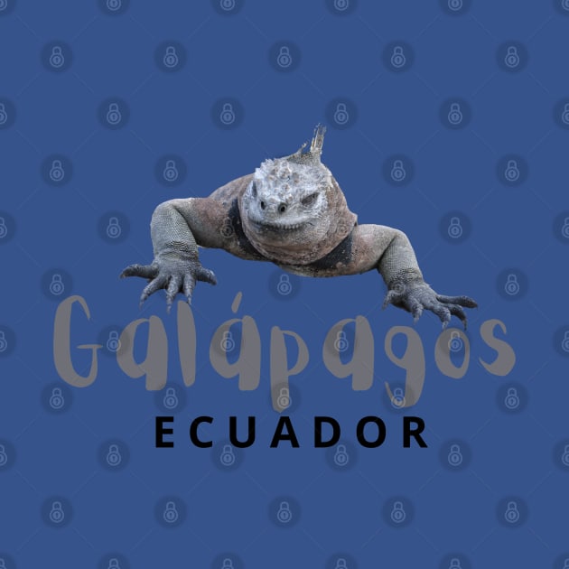 Galápagos Iguana - Ecuador by MolinArte