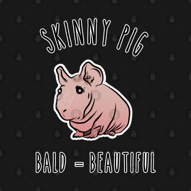 Skinny Pig Bald is Beautiful. Cute Hairless Guinea Pig. by W.Pyzel