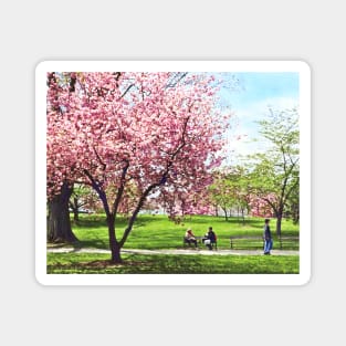 Newark NJ - Lunch and Cherry Blossoms Magnet