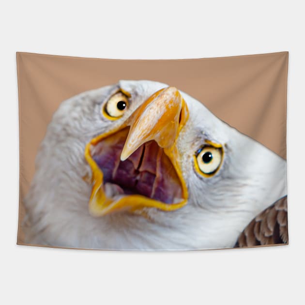 Bald Eagle shout Tapestry by dalyndigaital2@gmail.com