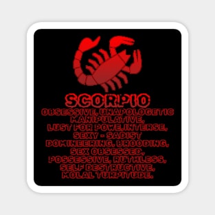 Other Side Of The Zodiac – Scorpio Magnet