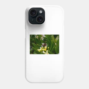 A Bee Gathering Nectar Phone Case