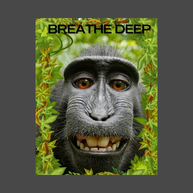 Breathe deep with chillin gorilla! by KORIography